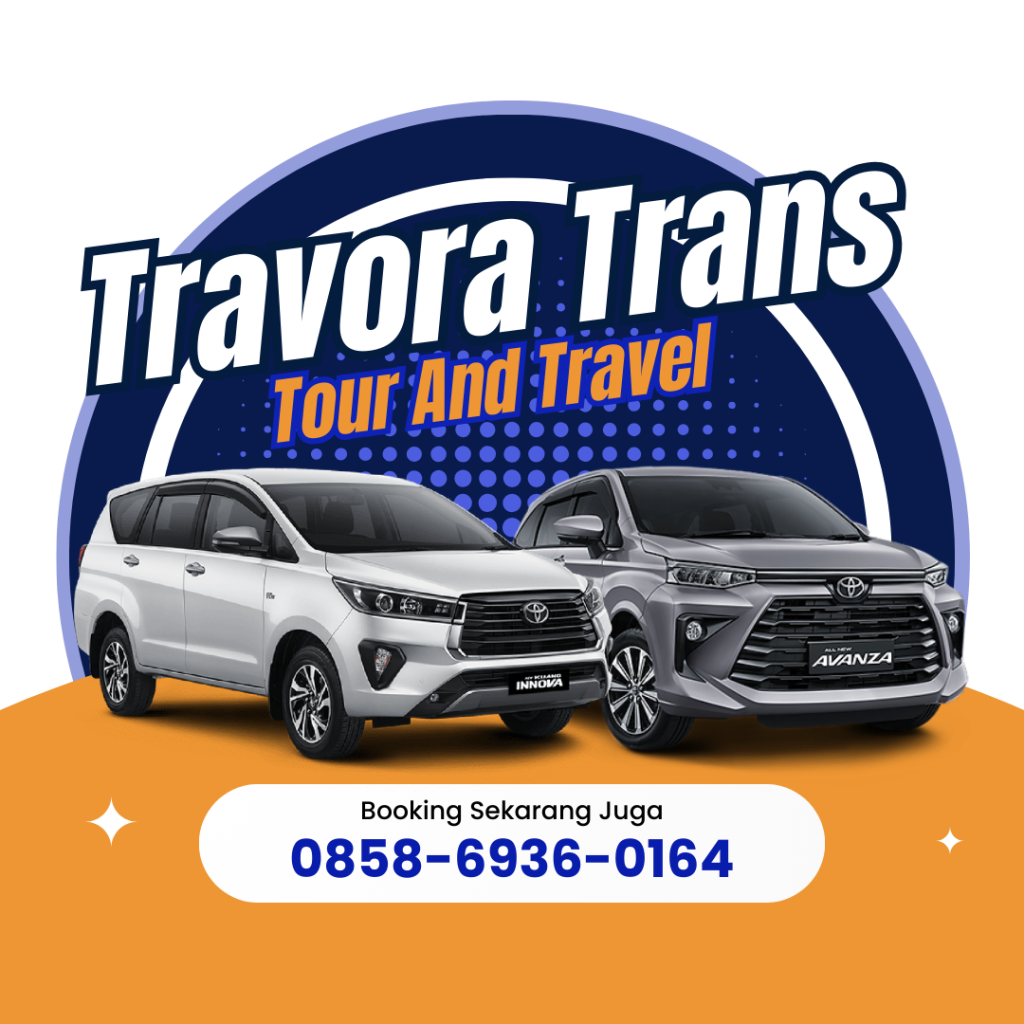 travora-trans-travel-hero