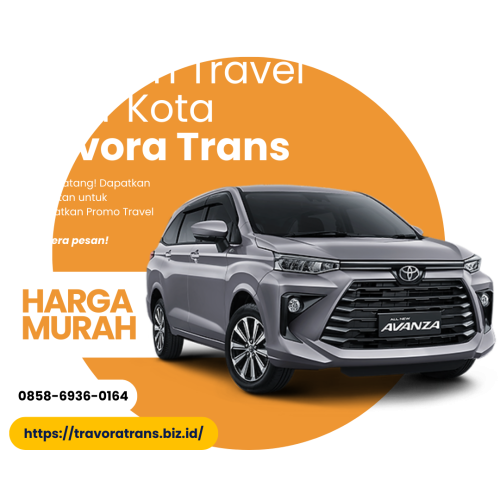 travora-trans-travel-hero1